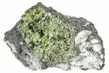 Peridot in Basalt - Arizona #239484-1